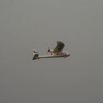 Mini Surfer X8 800mm Wingspan EPO RC Airplane Glider KIT