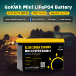 Gokwh 12V 200Ah Mini Bluetooth LiFePO4 Battery Built-in Bluetooth BMS 2560Wh LiFePO4(LFP)  IP65 Protection