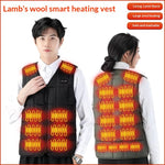 LinkMejor 22 Zones Intelligent Heated Vest USB/DC Charging Fleece Lined Winter Warm Electric Heating Sleeveless Jacket Thermal Outdoor Adjustable Temperature Control