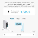 LinkMejor Tuya WiFi Smart Circuit Breaker Switch 32A-63A 90V-240V Remote Voice Control with App Timer Modes Smart Home Automation [No Metering]