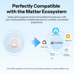 LinkMejor MINIR4M-E Matter Over WiFi Smart Wall Switch Orb-MW1 Fusion Series Voice Control Google Home Alexa Works With Apple Home
