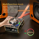 LinkMejor XY-D100H 100W*2 HiFi bluetooth Amplifier Board TPA3116*2 Module Digital Audio Amp with Volume Spectrum Music Rhythm Light
