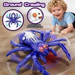 Remote Control Wall Climbing Spider / Green Lizard / Yellow Lizard Model 360° Rotation LED Lights Vacuum Suction Ground Crawling Toy