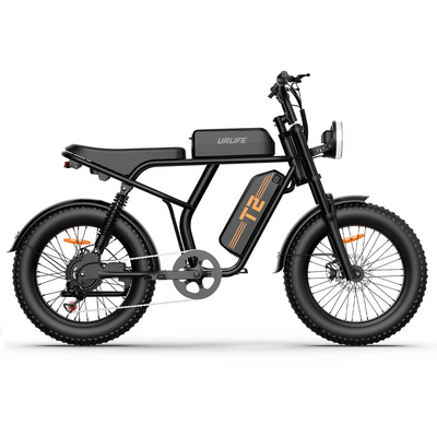 [EU DIRECT] URLIFE T2 Electric Bike 48V 15.6AH 500W(Peak 1500W) Motor Recommended Top Speed 25KM/H 20inch Fat Tire 160KM Max Mileage 120KG Max Load Electric Bicycle