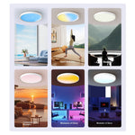 Elfeland 60W 40cm Full Spectrum LED Ceiling Light 1800K~12000K Remote Control with RGB Modes Dimmable Full Color Gradient Sky Light