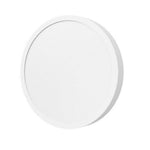 LinkMejor MIJIA D20 Smart Ceiling Light 900LM 17W Ceiling Lamp AC100~240V Suitable For Corridors Balconies Entrances