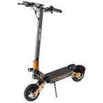 [US DIRECT] GOKEEP F4 Electric Scooter 48V 15.6AH 250W(Peak 1000W) Motor Top Speed 25KM/H 10Inch Tire 40KM Mileage 120kg Max Load