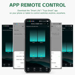 IH-S09 Tuya 1-4CH Zigbe Smart Switch Module 16A/Channel APP Remote Control Timer Schedule Countdown Functions Voice Control with Alexa Google Assistant