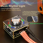 LinkMejor XY-D100H 100W*2 HiFi bluetooth Amplifier Board TPA3116*2 Module Digital Audio Amp with Volume Spectrum Music Rhythm Light