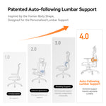 LinkMejor NT001 Ergonomic Office Chair High Back Desk Chair Standard Version with Unique Adjustable Lumbar Support Adjustable Backrest and Seat Pan Depth Tilt Function Headrest 3D Armrests Computer Chair Black