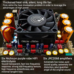 ZK-AS21P TPA3255x2 Digital Power Amplifier Board 300WX2+600W 2.1 Channel Bluetooth With Subwoofer Module