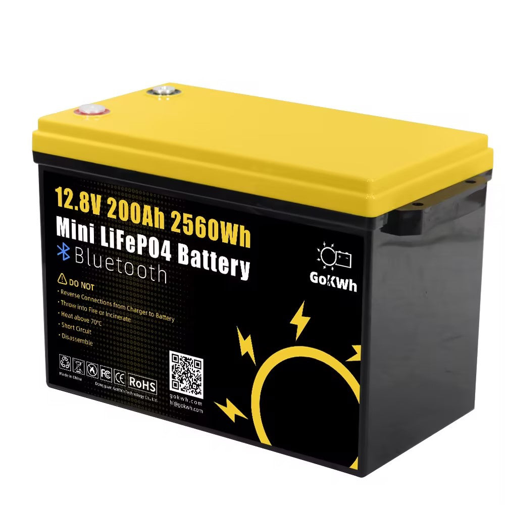 Gokwh 12V 200Ah Mini Bluetooth LiFePO4 Battery Built-in Bluetooth BMS 2560Wh LiFePO4(LFP)  IP65 Protection