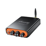 YS-KL5 Dual-Channel Bluetooth 5.3 Digital Power Amplifier High-Power 600W TPA3255 Hi-Fi Audio 2.0 Subwoofer